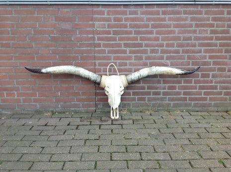 Boeddha zittend  boekje