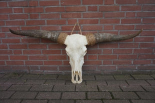 Boeddha zittend