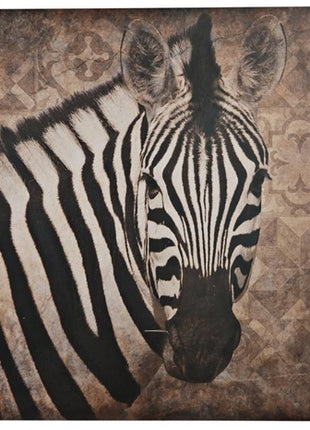 Zebra op hout
