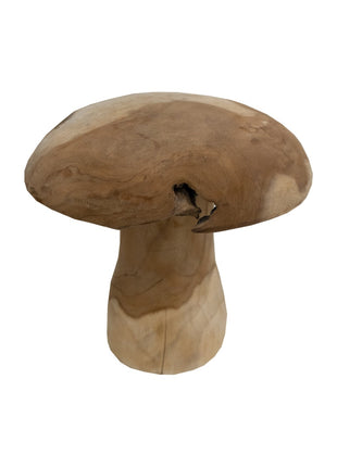 Paddenstoel Jamur S