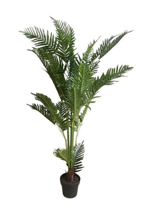 Plant varen 150cm