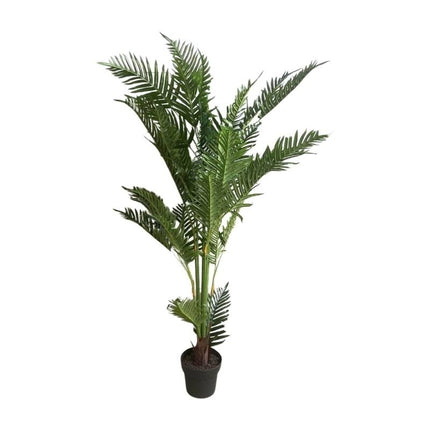 Plant varen 150cm