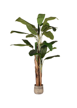 LABEL51 Musa - Groen - Kunststof - 180 cm