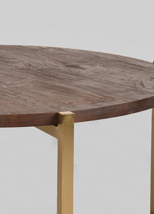Salontafel Dox - Goud - Mangohout - Goud Onderstel