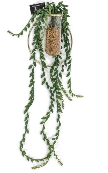 Plant in hangende ring