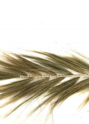 Bulu pluim naturel 200 cm