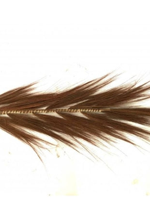 Bulu pluim terra 200 cm
