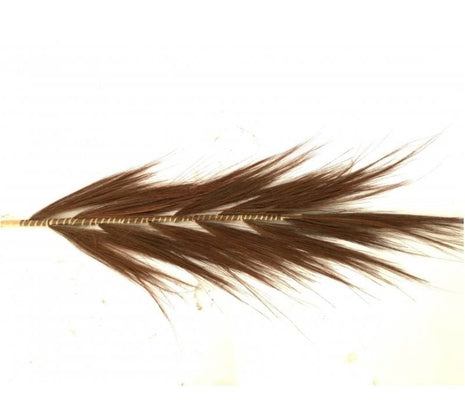 Bulu pluim terra 200 cm