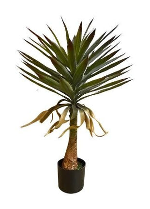 Yucca plant 90cm