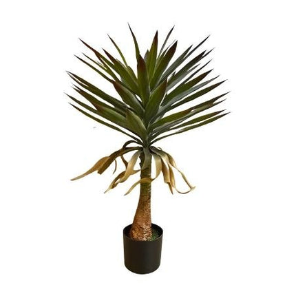 Yucca plant 90cm